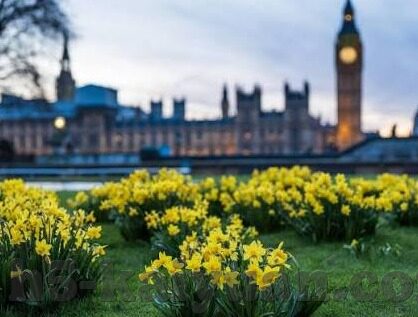 全新足球比分网-全新足球比分网，革新观赛体验，引领足球数据新风尚